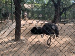 -郑州市动物园