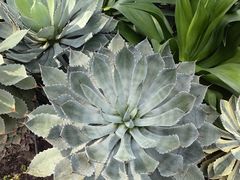 -北京植物园-展览温室