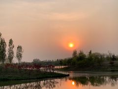 -东郊湿地公园