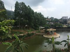 -泉州海丝野生动物世界