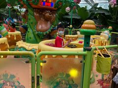 -南宫五洲植物乐园