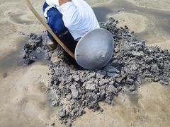 -北海金海湾红树林生态旅游区