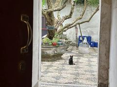 -西园戒幢律寺
