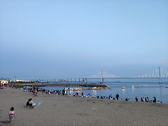 -星海湾跨海大桥