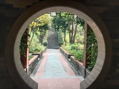 -广州神农草堂中医药博物馆
