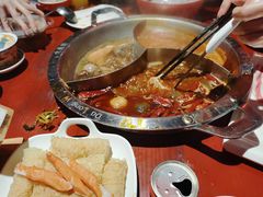 -大龙燚·旷野鲜火锅(广州首店)