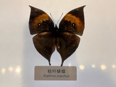 -中国湿地博物馆
