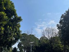 -清湖文化公园