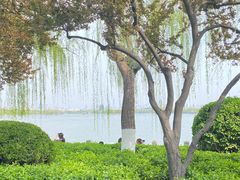 -济南大明湖景区