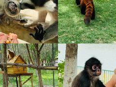 -水上乐园·欢乐世界