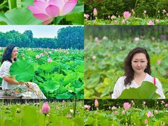 -东郊湿地公园