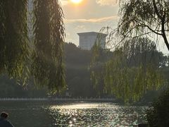 -西宁市人民公园(城西区)