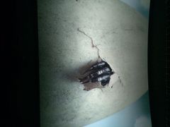 万达影城(江北店)-万达影城(江北万达广场IMAX店)