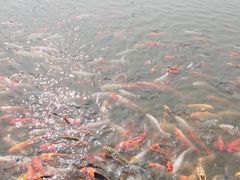 -北戴河圣蓝海洋公园