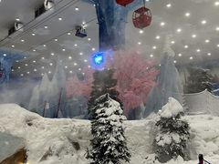 -湘江欢乐城欢乐雪域