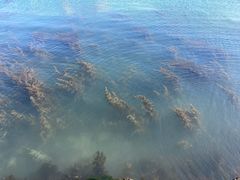 -石槽海滨浴场