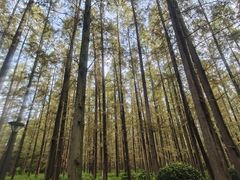 -上海怡沁园度假酒店