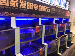 水产区-七欣天(浦东羽山乐坊店)