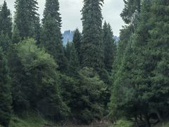 -新疆那拉提国家旅游度假区