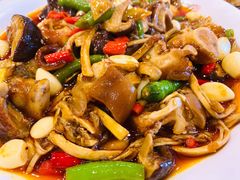 -圣厨牛腩(青春岛社区玉寿苑店)