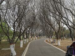 -石家庄市植物园