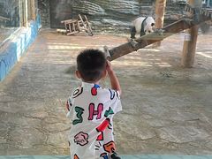 -西霞口神雕山野生动物世界