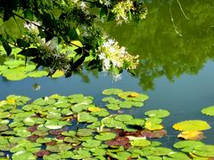 -国家植物园南园