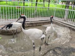 -水上乐园·欢乐世界