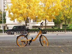 -远洋未来广场(育慧北路店)