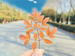 -西安汉城湖景区