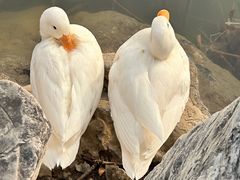 -太阳宫公园