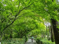 -杭州植物园
