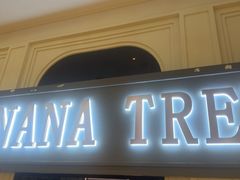 -芭蕉树·新派泰国餐厅(汉溪长隆店)