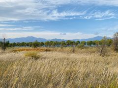 -野鸭湖国家湿地公园