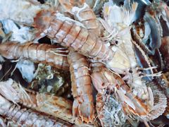 -威海海鲜王(窑头路店)