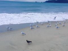 -海云台海滩
