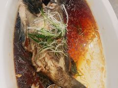 -新光酒家·河豚·海鲜·蟹料理(浦东店)