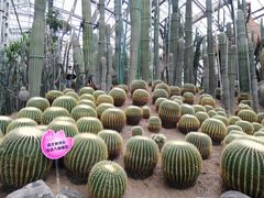 -南山植物园