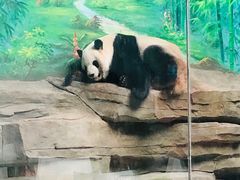 -灵玲国际马戏城