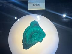 -陕西自然博物馆