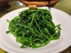 炒苕尖-董厨煨汤馆(车站路店)