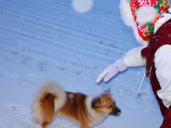 -北极村旅游风景区