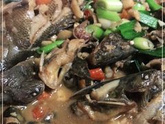 -李东农庄(中南百草园地标店)