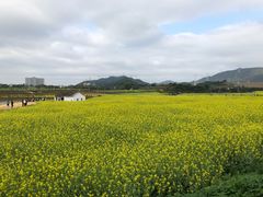 -光明小镇欢乐田园