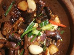-大榕树下顺德菜(融创茂店)