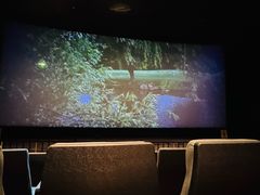 -奥斯卡升龙国际影城(RealD Cinema)