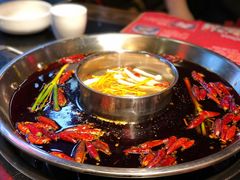 -矮板凳老火锅(宽窄巷子店)