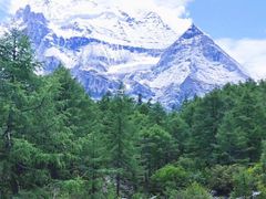 -新都桥贡嘎雪山观景台