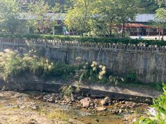 -广州白江湖森林公园