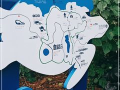 -广东惠东海龟国家级自然保护区